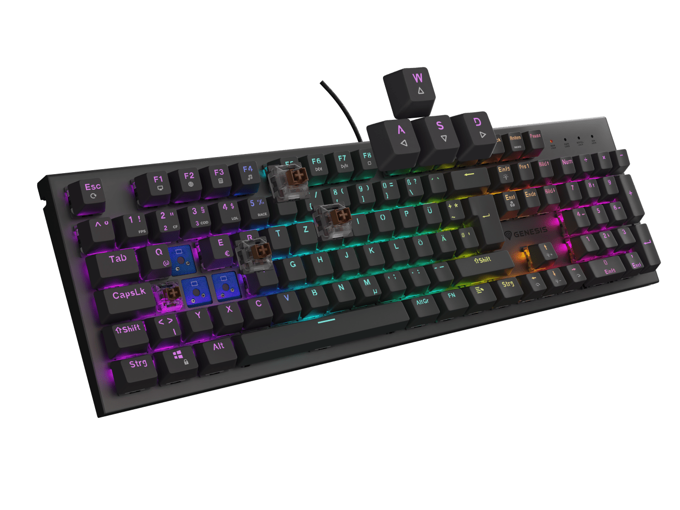 Genesis Thor 303 DE Czarny (Outemu Brown)