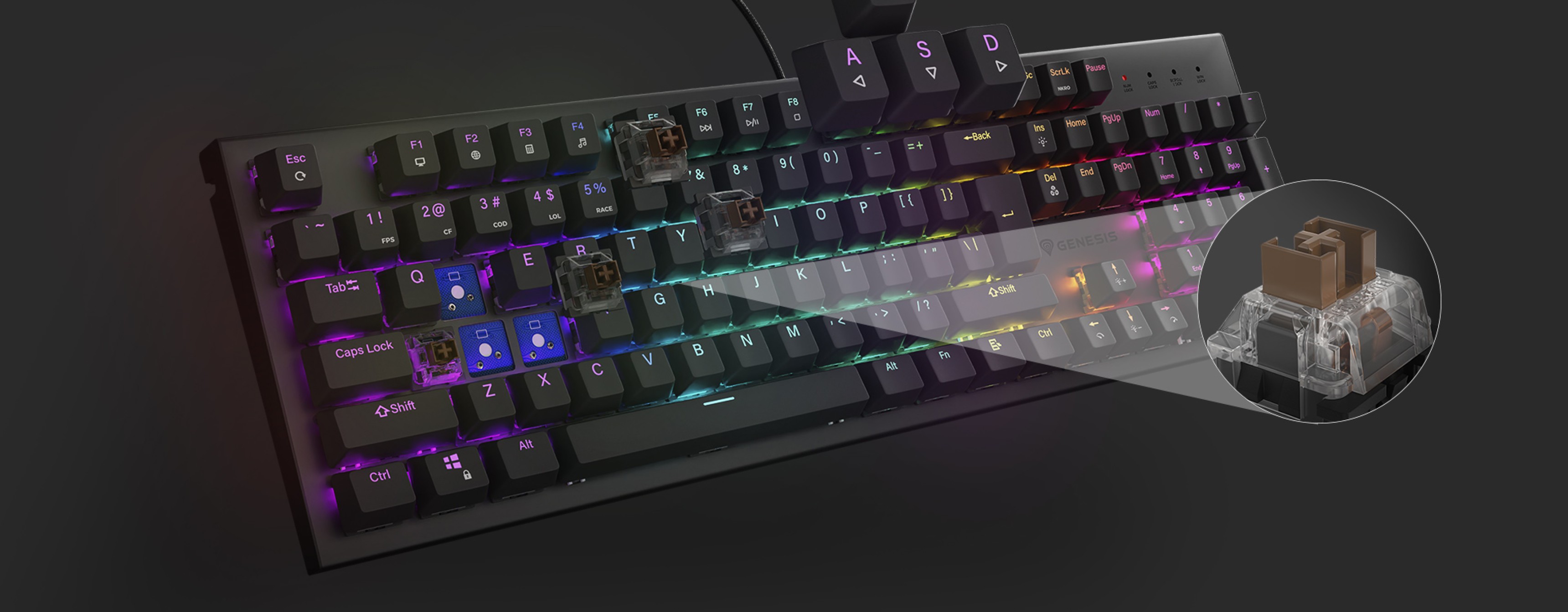 Mechaniczna klawiatura do gier z podświetleniem RGB i brązowymi przełącznikami, ze zbliżeniem przełącznika wymienianego podczas pracy