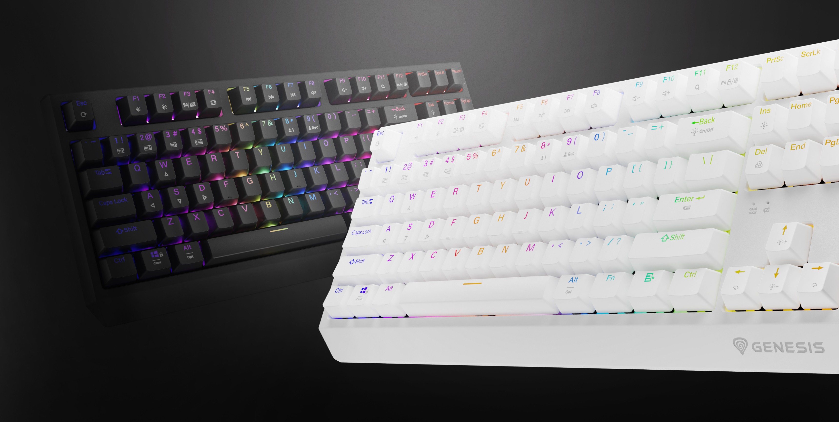 Zaprezentowano dwie bezprzewodowe klawiatury mechaniczne Genesis Thor 230 TKL, jedną czarną i jedną białą, z efektami podświetlenia RGB